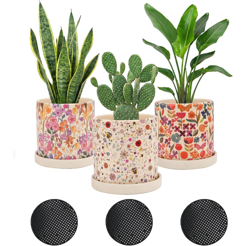 Snake Plant Ceramic - กระถางเซรามิกลายดอกไม้ 3 ชิ้น พร้อมรูระบายน้ำและจานรอง สำหรับปลูกไม้อวบน้ำ กระบองเพชร