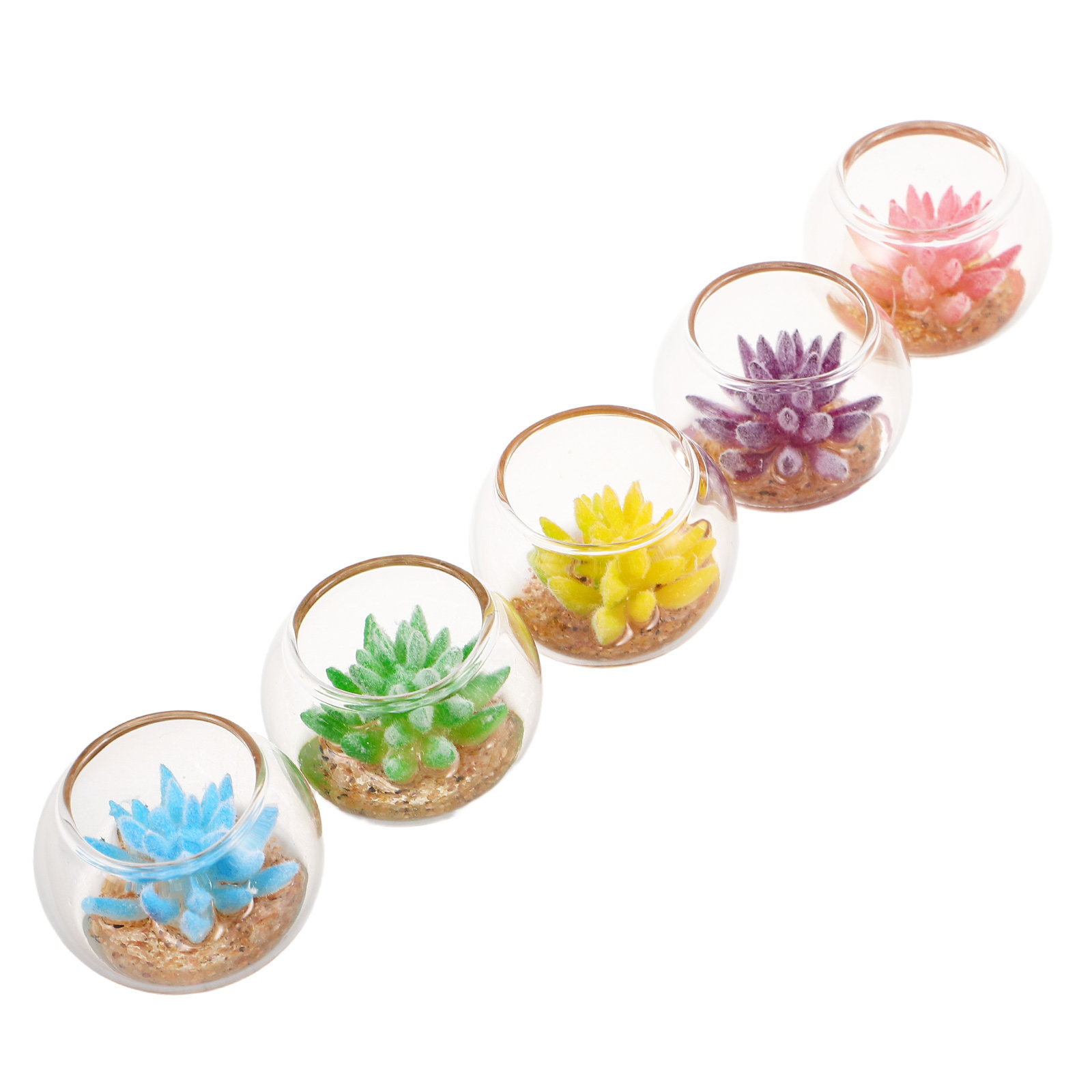 กระถางแก้วจิ๋ว 5 ชิ้น ต้นไม้ปร - Plant Pot บทวิจารณ์และราคา