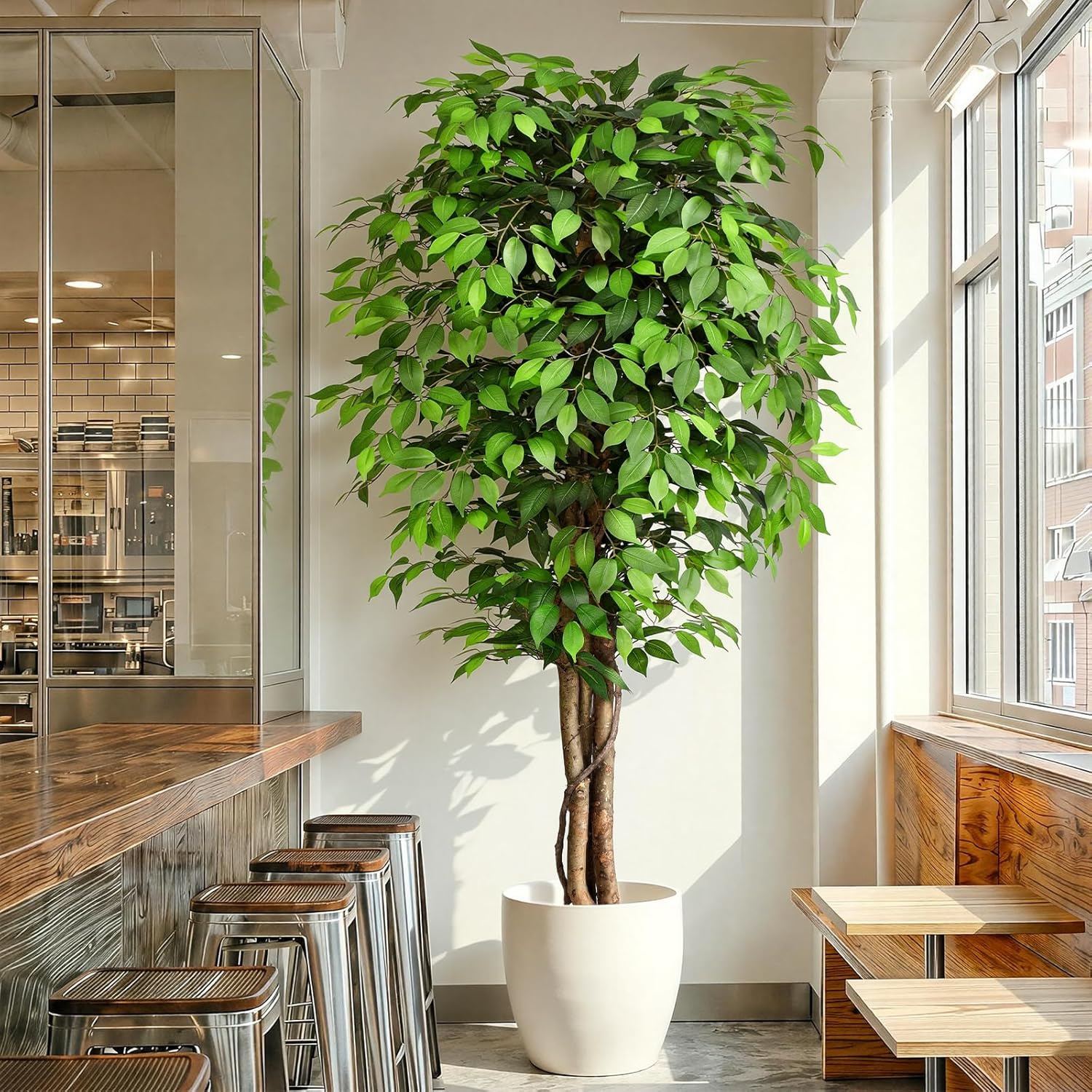 ต้นไทรประดิษฐ์เสมือนจริงพร้อมล - Fiddle Leaf Fig บทวิจารณ์และราคา