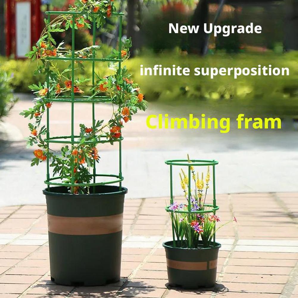 10 ชิ้น โครงค้ำต้นมะเขือเทศ คา - Terracotta Pot บทวิจารณ์และราคา