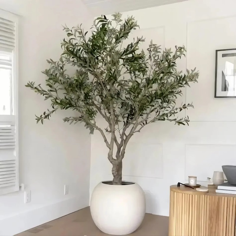 ต้นมะกอกเทียมในกระถางพลาสติก ข - Indoor Plants บทวิจารณ์และราคา