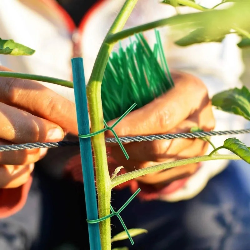 เสาค้ำต้นไม้ ไม้ไผ่ เสาค้ำพืช  - Plant Support Stake บทวิจารณ์และราคา