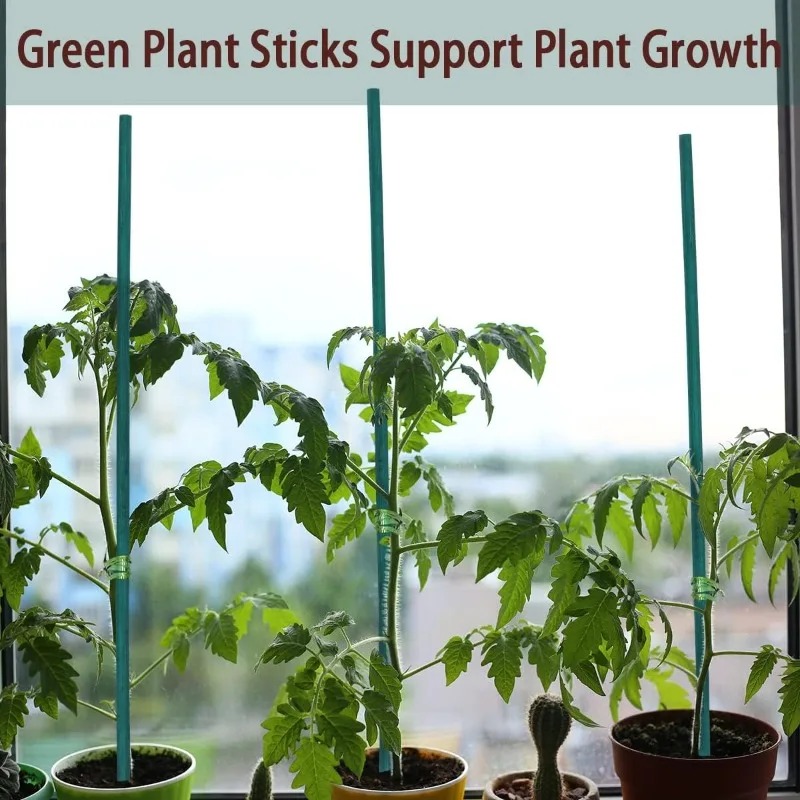 เสาค้ำต้นไม้ ไม้ไผ่ เสาค้ำพืช  - Plant Support Stake บทวิจารณ์และราคา