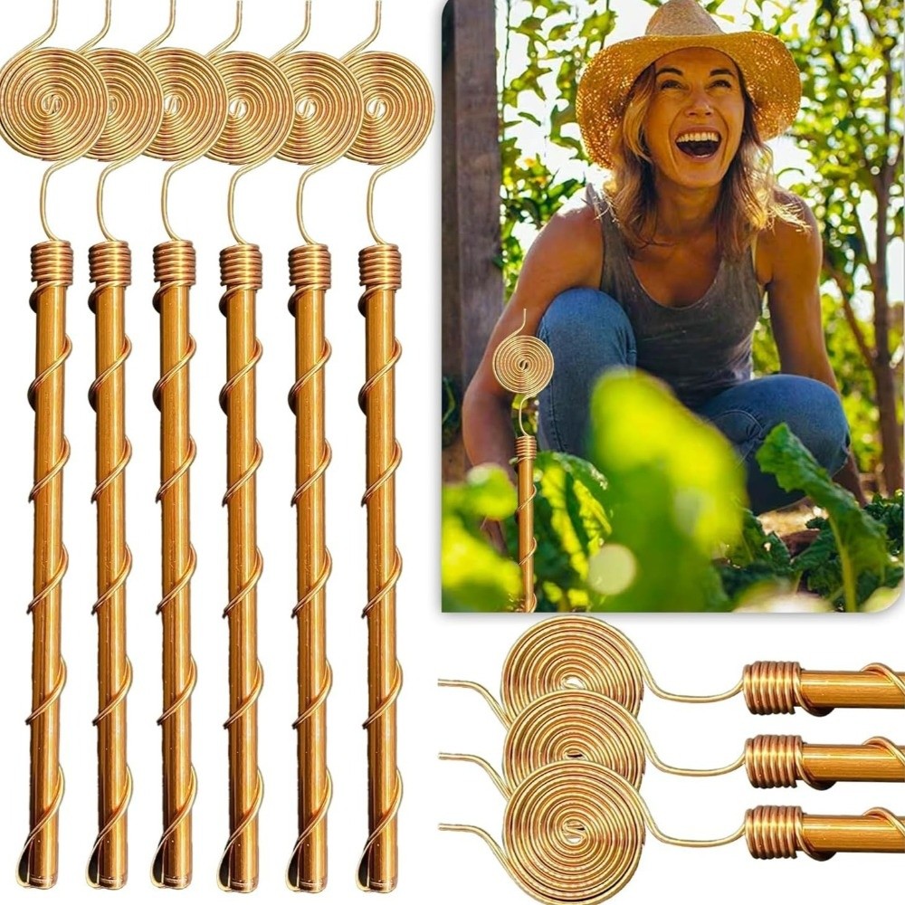 เสาค้ำต้นไม้แบบขดลวดทองแดง ทนท - Plant Support Stake บทวิจารณ์และราคา