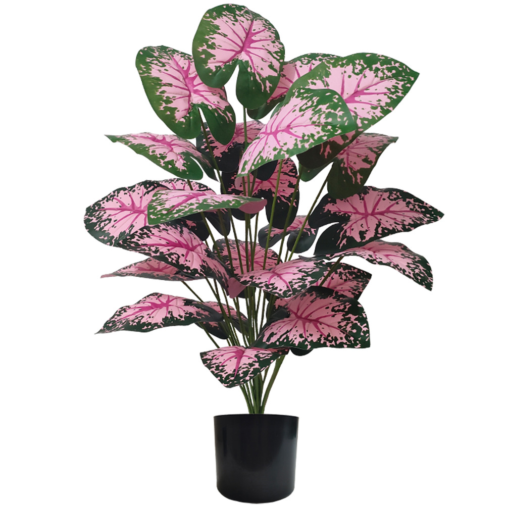 สีชมพู Leaf Potted พืชปลอมพืชป - Snake Plant บทวิจารณ์และราคา