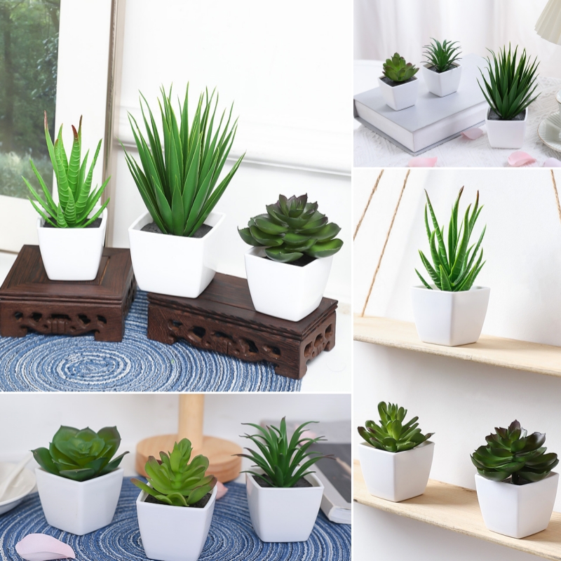 (ชุด 3 ชิ้น) กระถางต้นไม้จําลอ - Succulent Set บทวิจารณ์และราคา