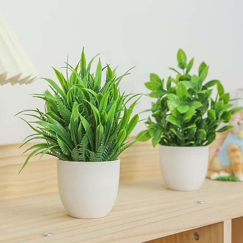 ชุดต้นไม้ประดิษฐ์ขนาดเล็ก 4 ชิ - Snake Plant บทวิจารณ์และราคา