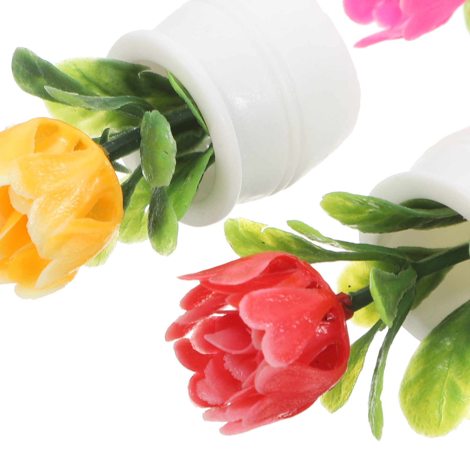 5 ชิ้น ไม้อวบน้ำประดิษฐ์ทรงบอน - Plant Pot บทวิจารณ์และราคา