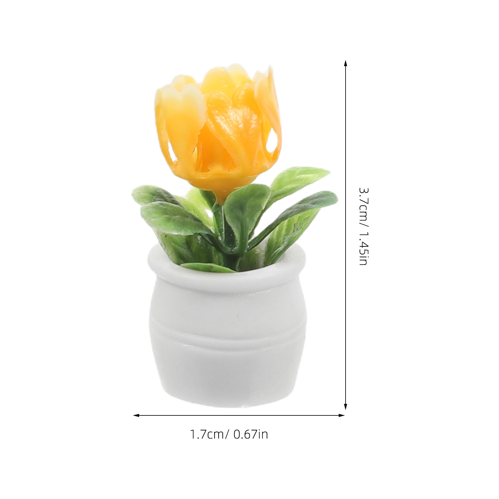 5 ชิ้น ไม้อวบน้ำประดิษฐ์ทรงบอน - Plant Pot บทวิจารณ์และราคา