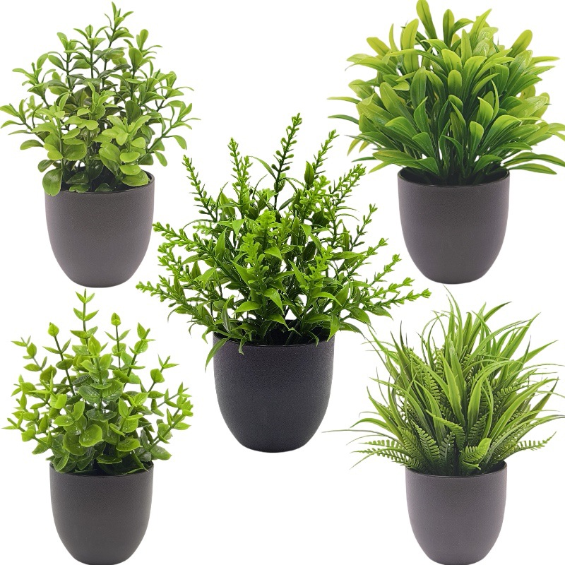 ต้นไม้จำลองสีเขียว บอนไซ ของตก - Succulent Set บทวิจารณ์และราคา