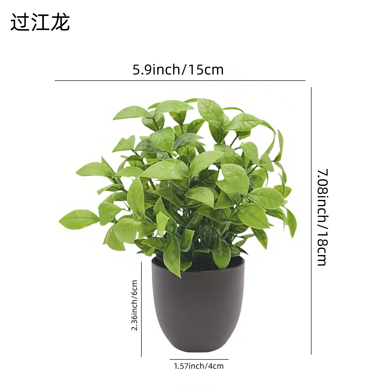 ต้นไม้จำลองสีเขียว บอนไซ ของตก - Succulent Set บทวิจารณ์และราคา