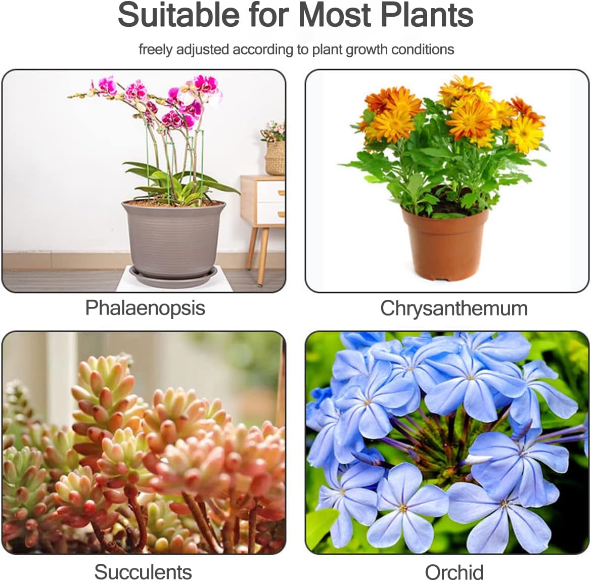 เสาค้ำต้นไม้ 5/10 ชิ้น สำหรับย - Plant Support Stake บทวิจารณ์และราคา